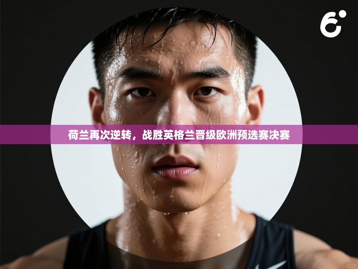 开云体育iOS安装教程-荷兰再次逆转，战胜英格兰晋级欧洲预选赛决赛  第1张