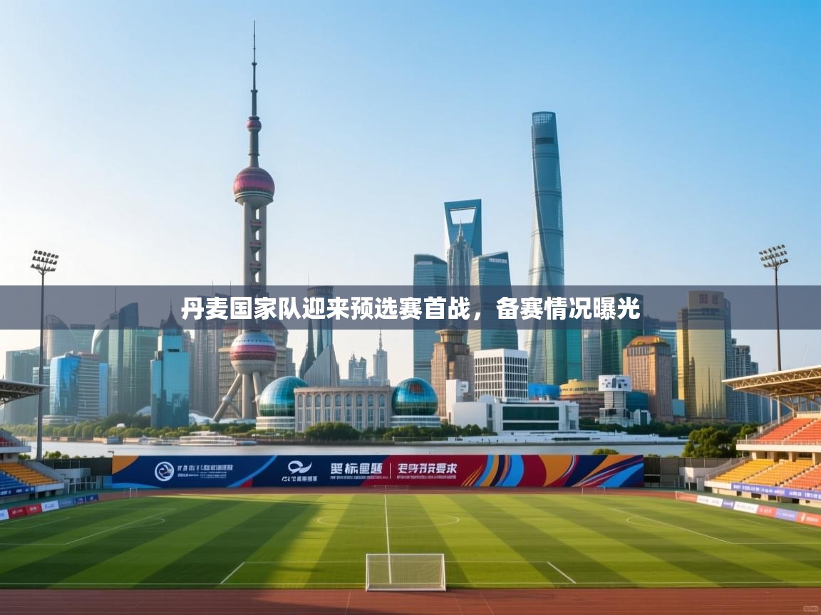 开云体育赛事比分直播-丹麦国家队迎来预选赛首战，备赛情况曝光  第3张