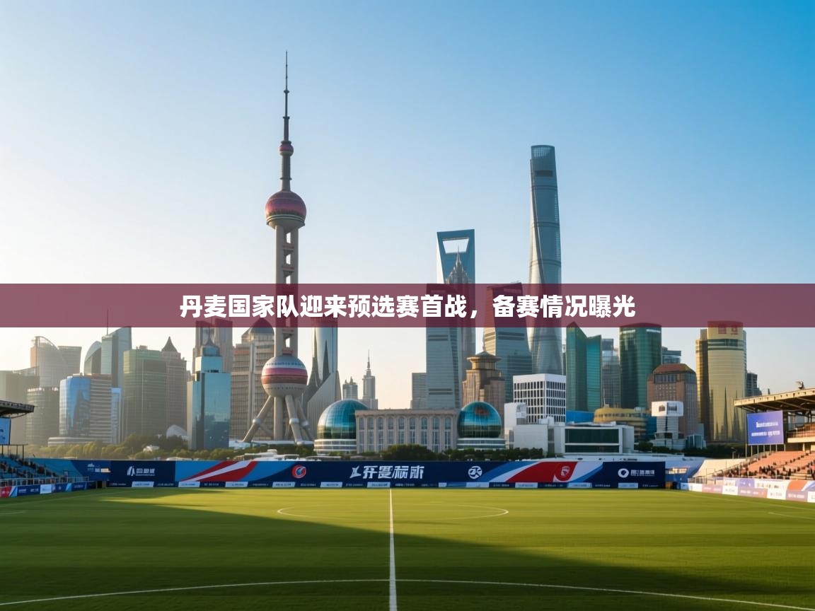 开云体育赛事比分直播-丹麦国家队迎来预选赛首战，备赛情况曝光  第4张