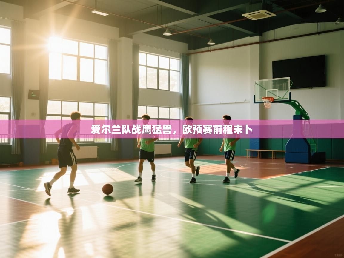 开云体育赛事比分直播-爱尔兰队战鹰猛兽，欧预赛前程未卜  第1张