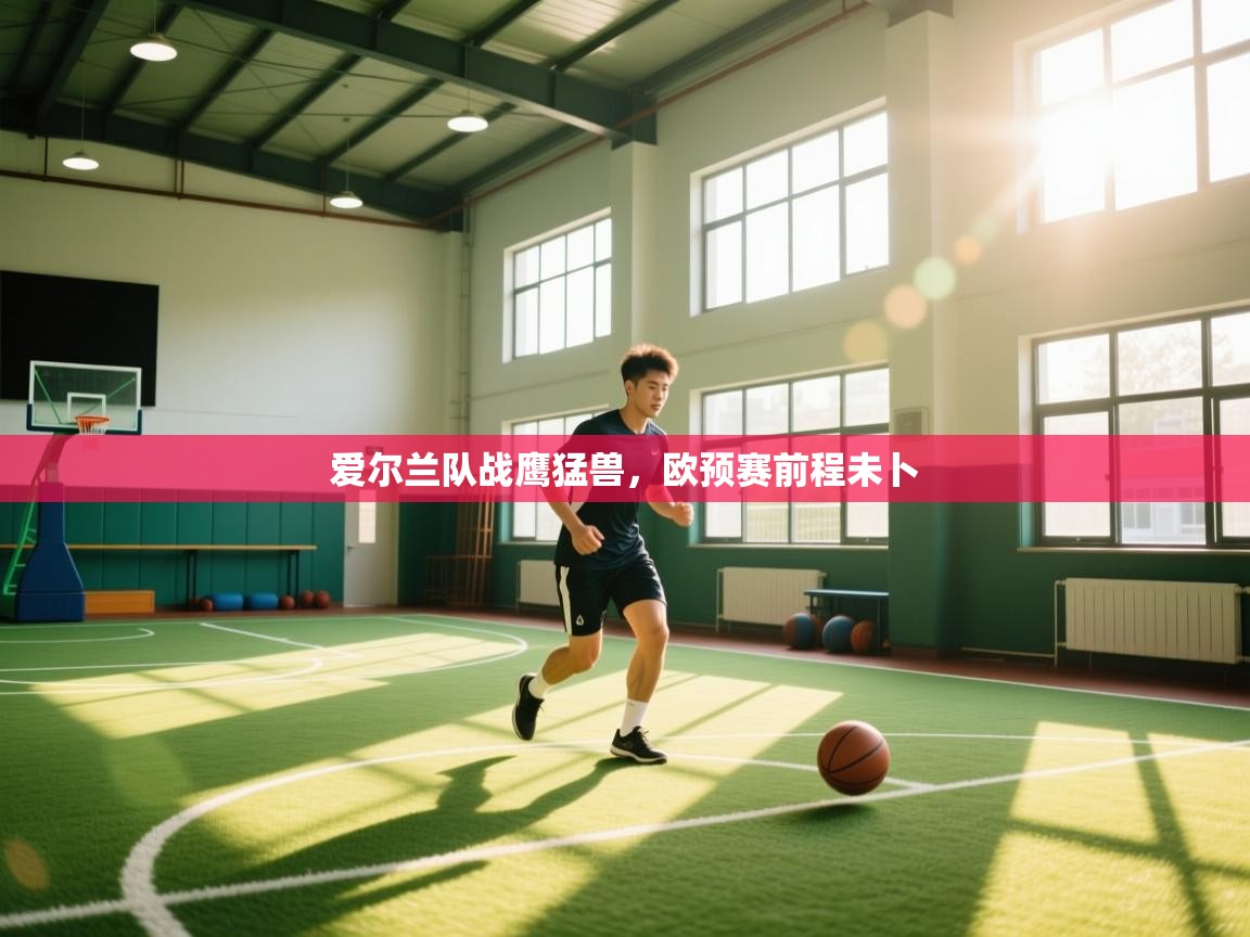 开云体育赛事比分直播-爱尔兰队战鹰猛兽，欧预赛前程未卜  第2张