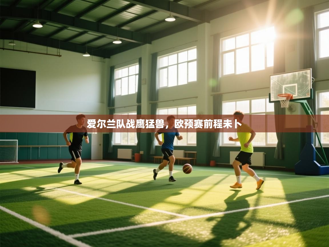 开云体育赛事比分直播-爱尔兰队战鹰猛兽，欧预赛前程未卜  第3张