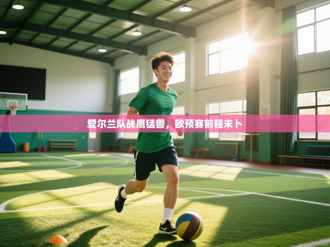 开云体育赛事比分直播-爱尔兰队战鹰猛兽，欧预赛前程未卜  第4张